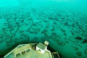 Sanganeb Lighthouse, Sangaleb Lighthouse