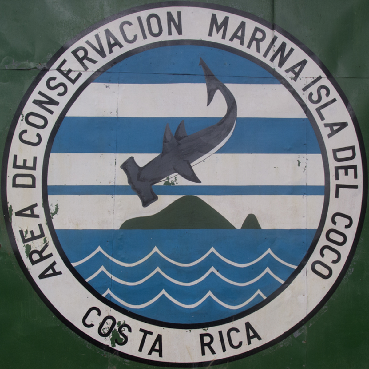 Costa_Rica_Cocos_Island_Undersea_Hunter_Hammerhaie-21