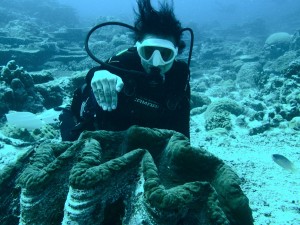 Palau_BlueCorner_BlueChannel_Sharks-2