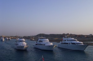 Ägypten_ Golden_Dolphin_StJohns_Rocky_Tauchsafari