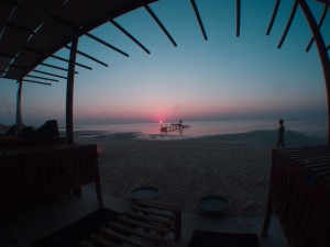 Äypten_Marsa_Alam_Marsa_Shagra_Red Sea Diving Safari_Tauchen_Rotes_Meer_Ägypten