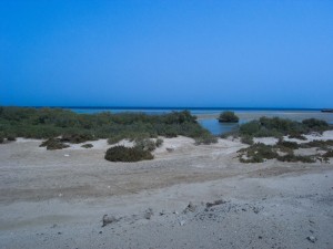 Äypten_Marsa_Alam_Marsa_Shagra_Red Sea Diving Safari_Tauchen_Rotes_Meer_Ägypten