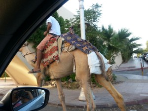 Ägypten_Hurghada_El Gouna-