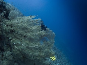 Ägypten_Hurghada_El Gouna-