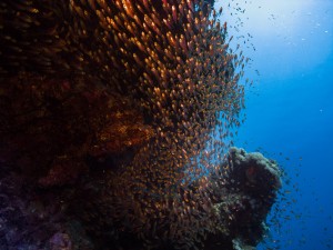 Ägypten_Hurghada_El Gouna-