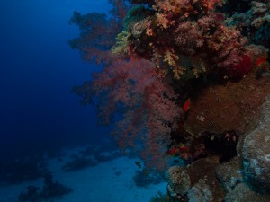 Ägypten_Hurghada_El Gouna-