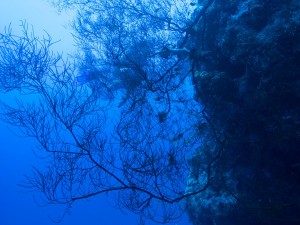 Ägypten_Hurghada_El Gouna-