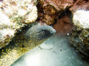 Ägypten_Hurghada_El Gouna-