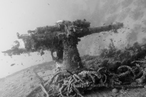 Ägypten_Nordtour_Wracks_Blech_Ras_Mohammed_Golden_Dolphin_II_Zwei