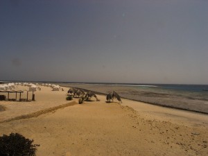 Äypten_Marsa_Alam_Marsa_Shagra_Red Sea Diving Safari_Tauchen_Rotes_Meer_Ägypten