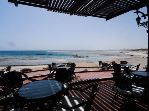 Äypten_Marsa_Alam_Marsa_Shagra_Red Sea Diving Safari_Tauchen_Rotes_Meer_Ägypten