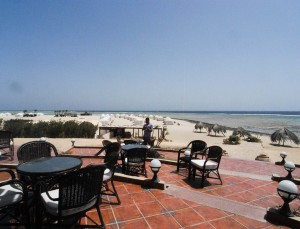 Äypten_Marsa_Alam_Marsa_Shagra_Red Sea Diving Safari_Tauchen_Rotes_Meer_Ägypten