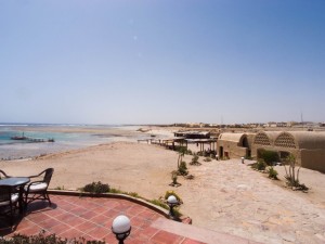 Äypten_Marsa_Alam_Marsa_Shagra_Red Sea Diving Safari_Tauchen_Rotes_Meer_Ägypten