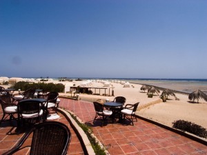 Äypten_Marsa_Alam_Marsa_Shagra_Red Sea Diving Safari_Tauchen_Rotes_Meer_Ägypten