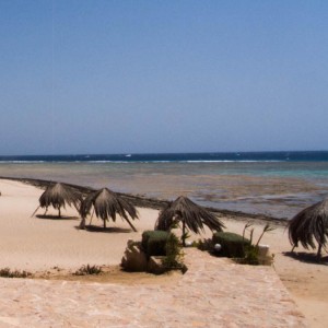 Äypten_Marsa_Alam_Marsa_Shagra_Red Sea Diving Safari_Tauchen_Rotes_Meer_Ägypten
