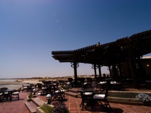 Äypten_Marsa_Alam_Marsa_Shagra_Red Sea Diving Safari_Tauchen_Rotes_Meer_Ägypten