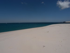 Mosambik_Vilankulos_Maputo_Tofo_Tofo_Peri_Peri_Divers, Walhai