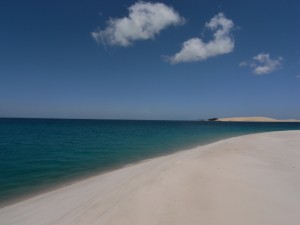 Mosambik_Vilankulos_Maputo_Tofo_Tofo_Peri_Peri_Divers, Walhai