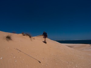 Mosambik_Vilankulos_Maputo_Tofo_Tofo_Peri_Peri_Divers, Walhai