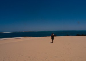 Mosambik_Vilankulos_Maputo_Tofo_Tofo_Peri_Peri_Divers, Walhai