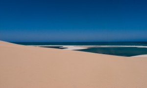 Mosambik_Vilankulos_Maputo_Tofo_Tofo_Peri_Peri_Divers, Walhai, Bazaruto