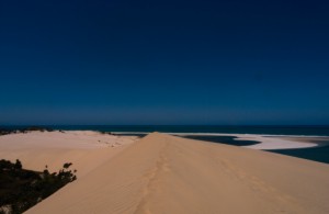 Mosambik_Vilankulos_Maputo_Tofo_Tofo_Peri_Peri_Divers, Walhai, Bazaturo