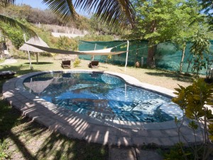 Mosambik_Vilankulos_Maputo_Tofo_Tofo_Peri_Peri_Divers, Walhai, Bazaruto