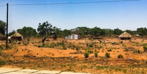 Mosambik_Vilankulos_Maputo_Tofo_Tofo_Peri_Peri_Divers, Walhai, Bazaruto