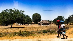 Mosambik_Vilankulos_Maputo_Tofo_Tofo_Peri_Peri_Divers, Walhai, Bazaruto