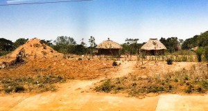 Mosambik_Vilankulos_Maputo_Tofo_Tofo_Peri_Peri_Divers, Walhai, Bazaruto