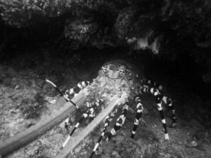 Mosambik_Vilankulos_Maputo_Tofo_Tofo_Peri_Peri_Divers, Walhai