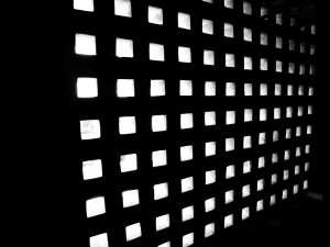 Mosambik_Vilankulos_Maputo_Tofo_Tofo_Peri_Peri_Divers, Walhai, Bazaruto