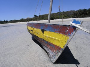 Mosambik_Vilankulos_Maputo_Tofo_Tofo_Peri_Peri_Divers, Walhai, Bazaruto