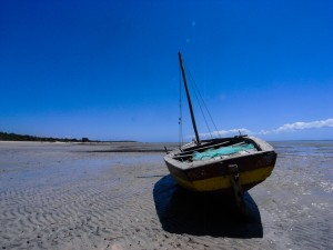 Mosambik_Vilankulos_Maputo_Tofo_Tofo_Peri_Peri_Divers, Walhai, Bazaruto