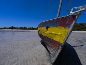 Mosambik_Vilankulos_Maputo_Tofo_Tofo_Peri_Peri_Divers, Walhai, Bazaruto