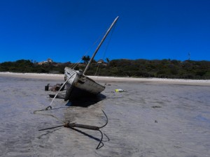 Mosambik_Vilankulos_Maputo_Tofo_Tofo_Peri_Peri_Divers, Walhai, Bazaruto