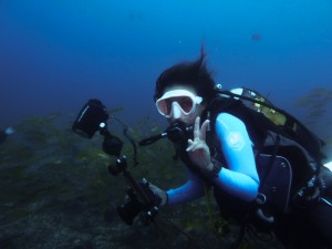 Mosambik_Vilankulos_Maputo_Tofo_Tofo_Peri_Peri_Divers, Walhai, Walhai