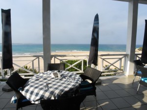 Mosambik_Vilankulos_Maputo_Tofo_Tofo_Peri_Peri_Divers, Walhai