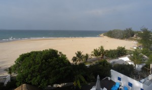 Mozambique_Vilankulos_Maputo_Tofo_Tofo_Peri_Peri_Divers, Walhai