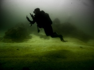 Mosambik_Vilankulos_Maputo_Tofo_Tofo_Peri_Peri_Divers, Walhai