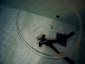 Apnoe_Hennie_Kissling_Divestyle_Divelounge