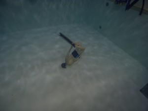 Apnoe_Hennie_Kissling_Divestyle_Divelounge