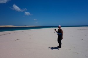 Mozambique_Vilankulos_Maputo_Tofo_Tofo_Peri_Peri_Divers, Walhai