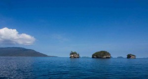 Raja Ampat Indonesien Tauchsafari, Nemo, Wobbegong, Teppichhai