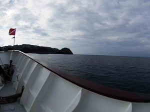 Raja Ampat Indonesien Tauchsafari, Nemo, Wobbegong, Teppichhai