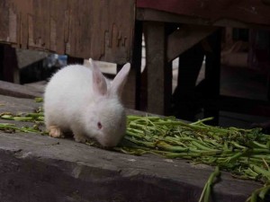 Indonesien_Jakarta_Asien