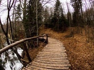 Plitvice_Kroatien_Croatia_Plitvice_jezero