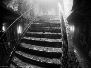 Tauchen Gozo Extra Divers