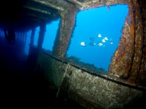 Tauchen Gozo Extra Divers