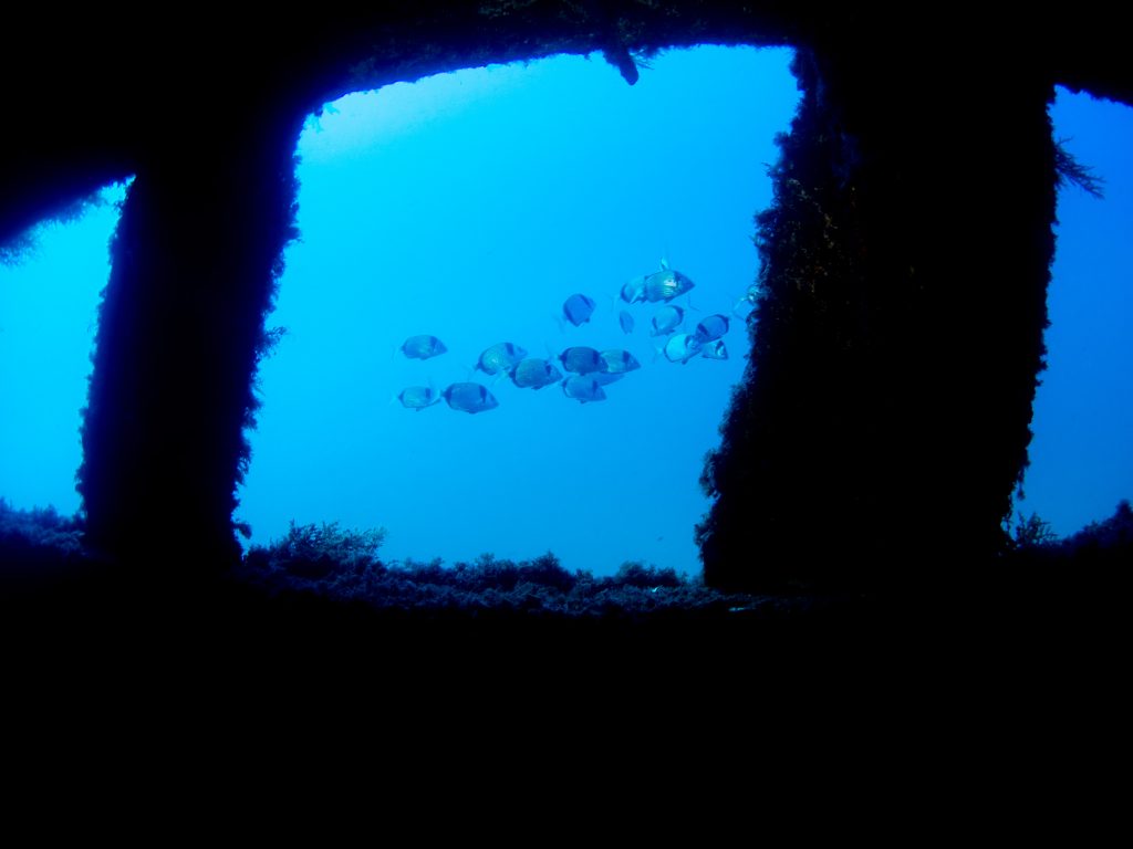 Tauchen Gozo Extra Divers